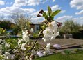 Miniatura: Masowe podpisywanie petycji w ROD. Wzrost...
