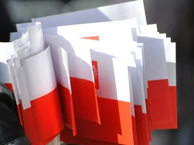 Miniatura: Obietnic wyborczych nie sposób w Polsce...