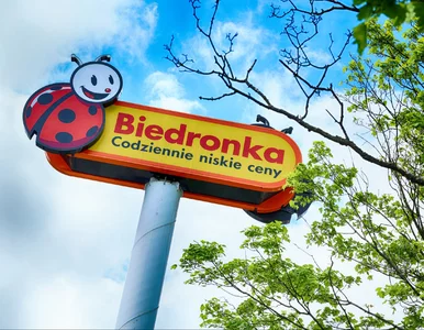 Miniatura: Biedronka podbija internet maskotkami....
