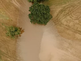 Miniatura: Sąsiad zalewa twoją działkę? Tak możesz...