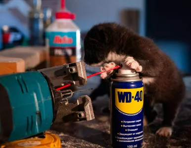 Miniatura: Nowe zastosowania dla WD-40. Tego jeszcze...