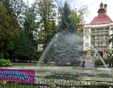 Miniatura: Które wybrać? Ranking popularnych polskich...