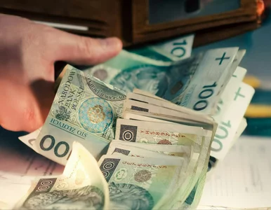 Miniatura: Znikająca pensja a budowanie majątku. Co...