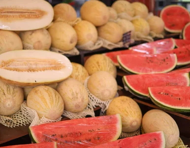 Miniatura: Melon czy arbuz? Oba są smaczne, ale jeden...