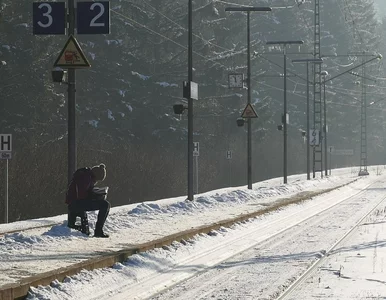 Miniatura: Uwaga – praca! SOK da niezłą pensję,...