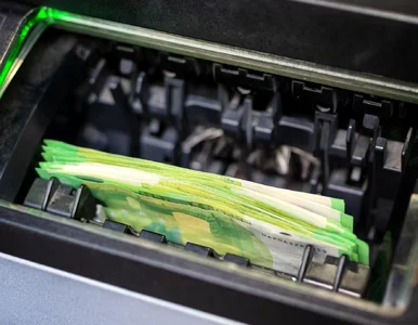 Miniatura: Pożyczasz, bo chcesz, czy nie umiesz...