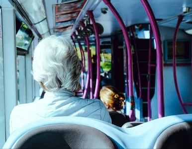 Miniatura: Darmowa komunikacja miejska. Co okazać...