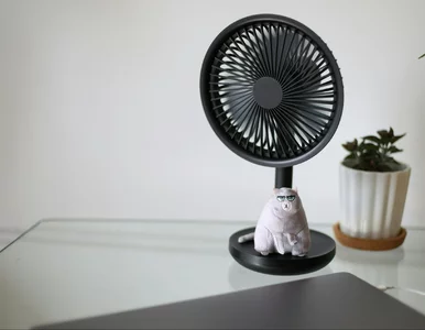 Miniatura: Źle stawiasz wiatrak, dlatego nie chłodzi...