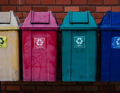 Miniatura: Aż 11 pojemników na śmieci? Nowy poziom...