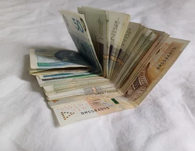 Miniatura: PPK nie spełniają swojej roli. Wielokrotne...