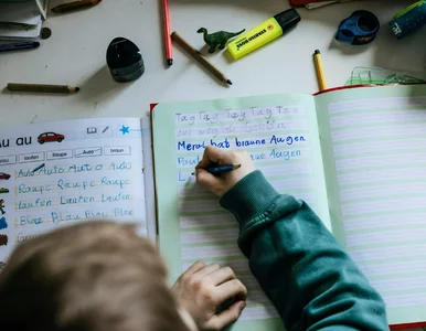 Miniatura: 15 tys. na dziecko od IKR piechotą nie...