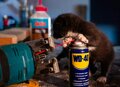 Miniatura: Nowe zastosowania dla WD-40. Tego jeszcze...
