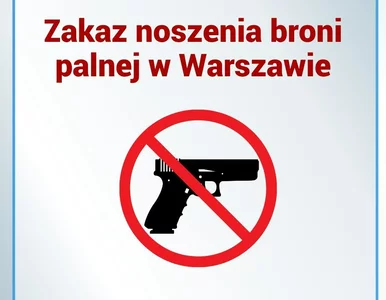 Miniatura: Do Warszawy na Marsz Niepodległości? To...