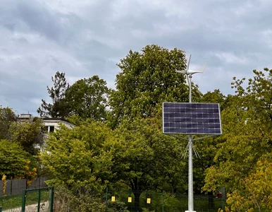 Miniatura: Przydomowa fotowoltaika wpływa na rachunek...