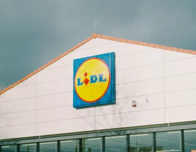 Miniatura: Lidl znowu to zrobił. Lepiej sam się...