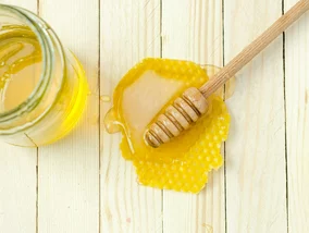 Miniatura: Ten nalot na miodzie budzi obawy. Prawda...